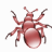 图片爬取工具(CrawlWorm Picture) v1.4