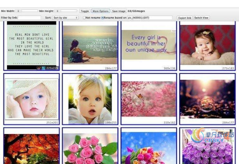 Fatkun(图片批量下载) for Chrome v5.5.8截图 Fatkun(图片批量下载) for Chrome v5.5.8-Fatkun(图片批量下载) for Chrome v5.5.8免费下载