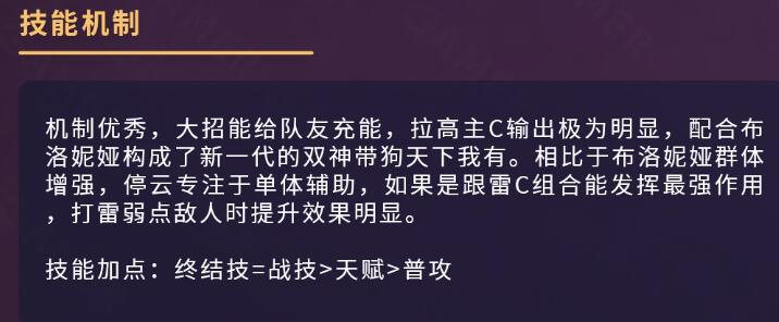停云光锥带什么
