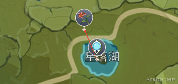 原神风车菊在哪里采摘-风车菊分布图位置