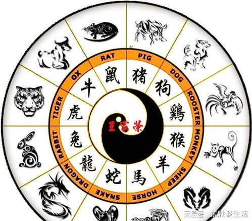 农历每日属相查询