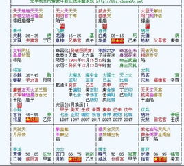 元亨利贞八字排盘系统