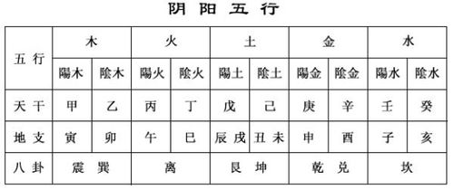 查询自己的生辰八字