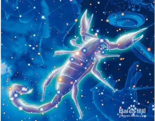 射手座最佳配对第一名