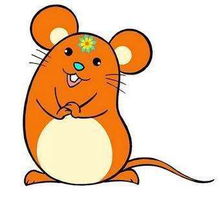 龙年男孩最合适的名字