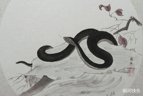 属蛇人的6个贵人