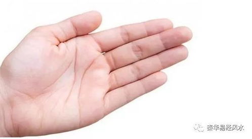 女人右手手相图解大全