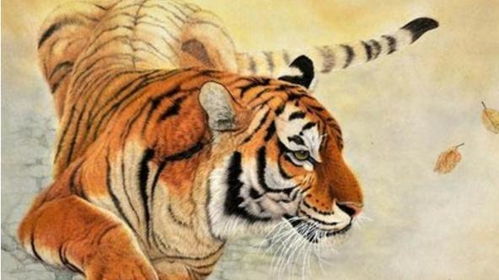 属虎的几月出生最好命