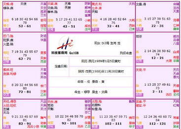 紫微命盘详解(免费版)