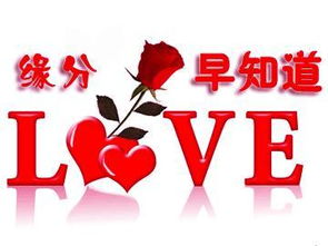 姓名缘分配对 男女