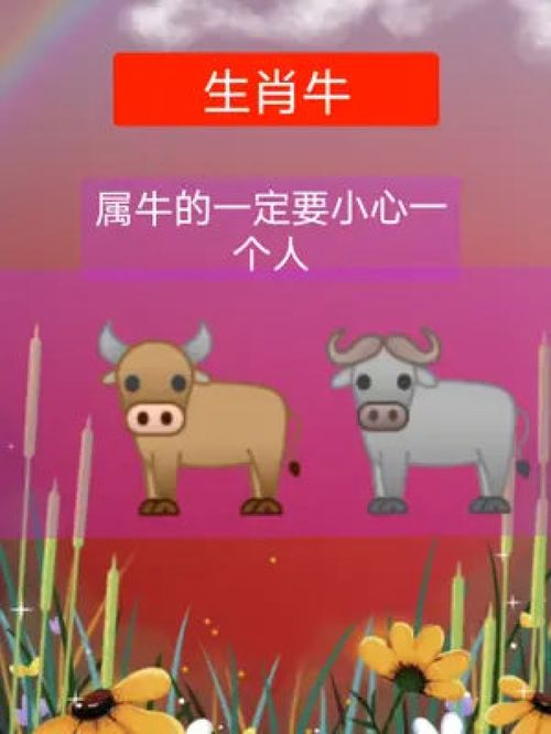 今晚一定出最准的生肖