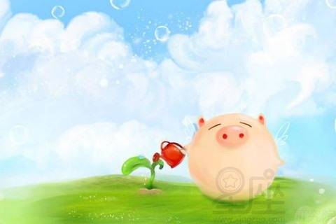 属猪人一生最克3个人