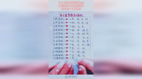 夫妻八字婚配表