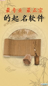 生辰八字起名免费取名100分