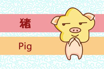 1983年属什么生肖