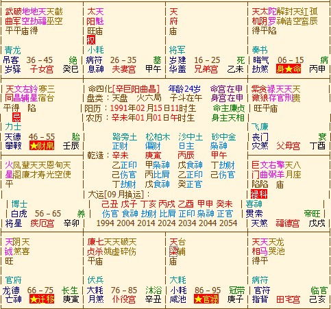 紫微斗数命盘