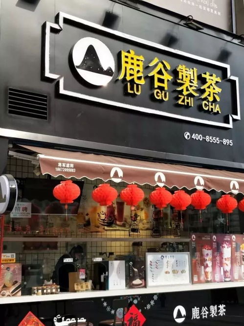 免费测试店名字打分