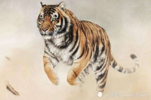 1974年属虎是什么命