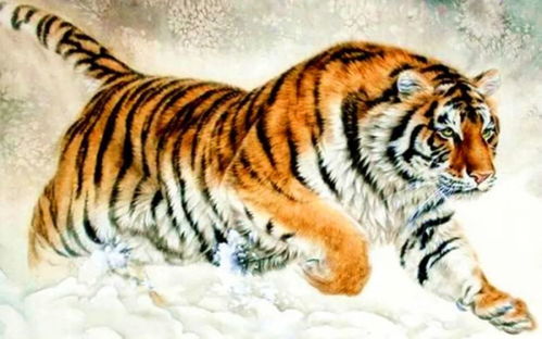 74年属虎48岁2022劫难