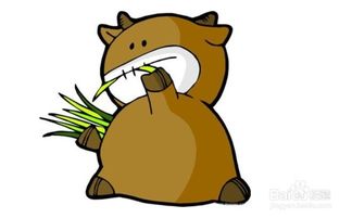 金牛座男生性格特点