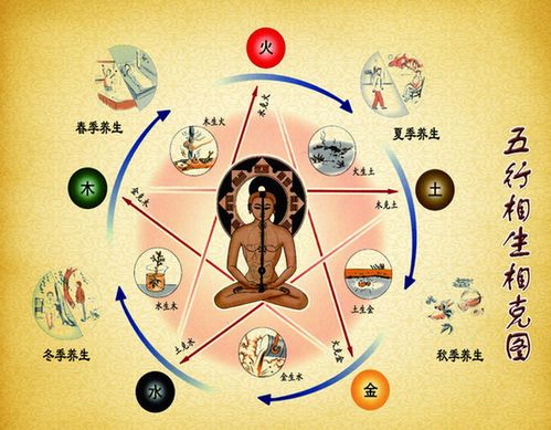 怎么查自己五行什么命