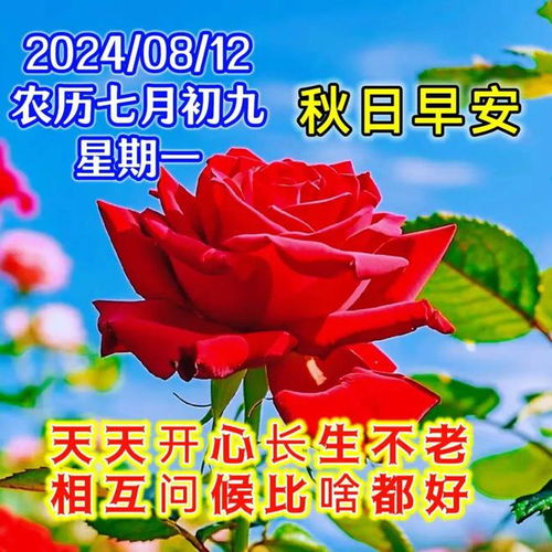 8月12日是什么日子