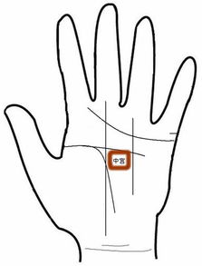 男人手相图解大全