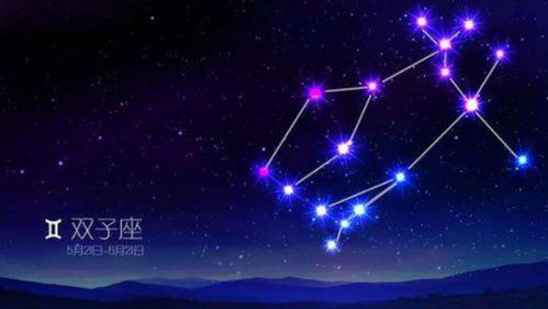 2月28日是什么星座