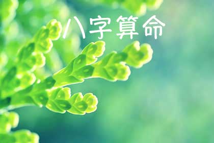 生辰八字算命在线