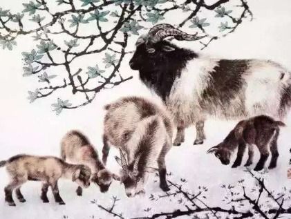 脑子最笨的3个生肖