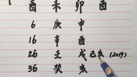 周易八字格局查询器