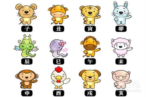 12生肖排列顺序