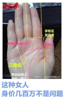 富贵手相的6种奇纹