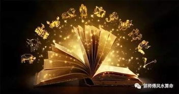 免费测命运和财运婚姻事业