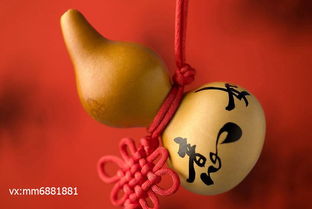 算命财运最准的免费