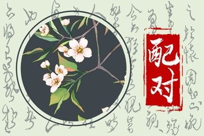 免费测婚姻缘分姓名配对