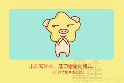 2019年五行属什么