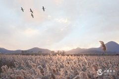 龙年最忌哪个月出生