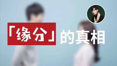 测算两个人的缘分