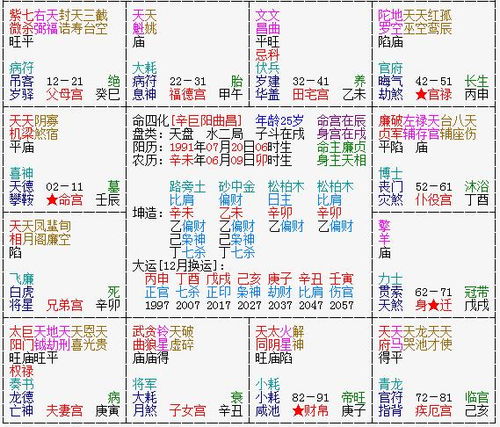 紫薇命盘免费排盘