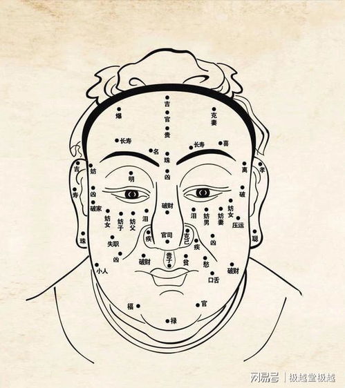 面相口诀100准确