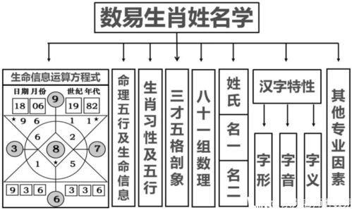 男孩名字大全2023最新版的属兔