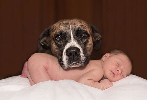 龙年男宝宝取名最佳用字