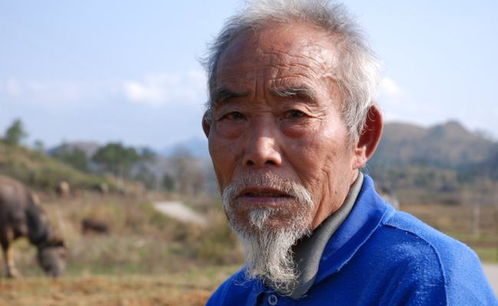 梦见死人复活什么预兆