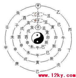 根据生辰八字起名字