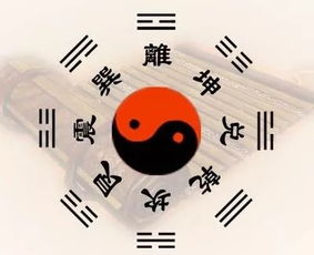 免费八字算寿终