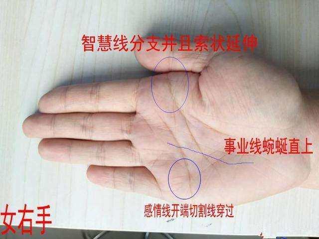 男人的十种富贵手相