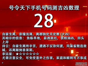 号令天下最吉祥号码