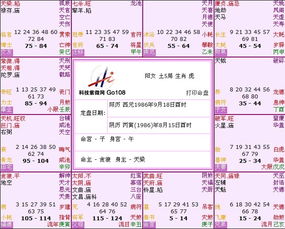 八字命盘查询与解析