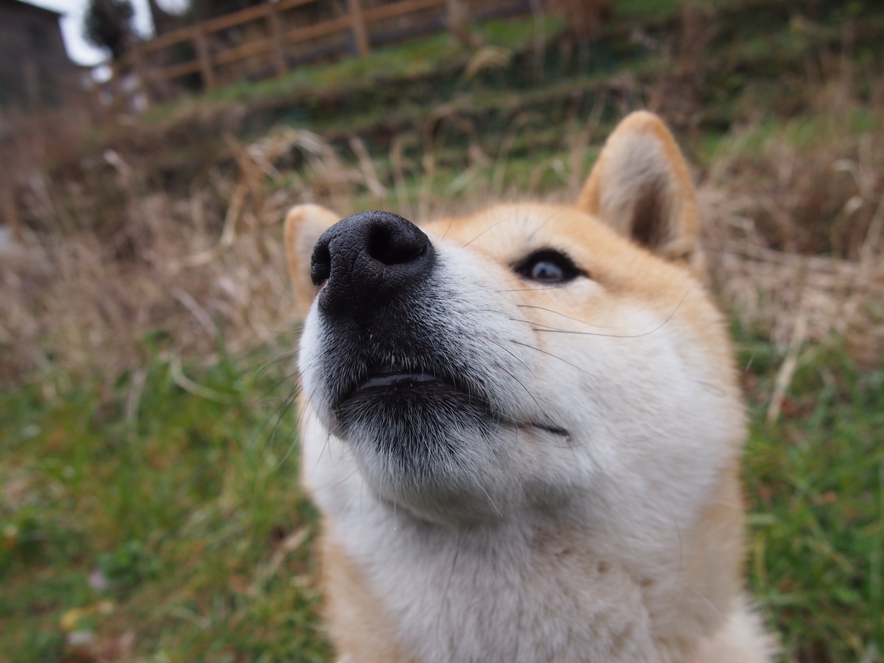 "如何解除绿源电动车限速"